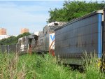 VLI 6043
